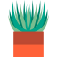 Aloe icon 64x64