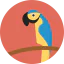 Parrot 图标 64x64