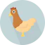 Hen 图标 64x64