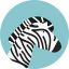 Zebra 图标 64x64