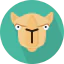 Camel 图标 64x64