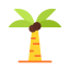 Palm tree icon 64x64