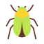 Beetle icon 64x64