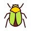 Beetle icon 64x64