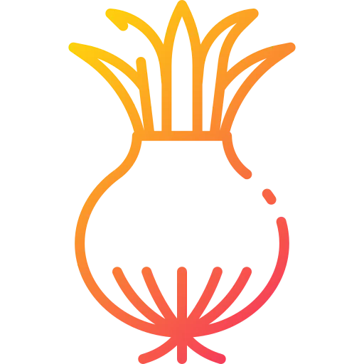 Onion ícono