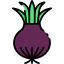 Onion icon 64x64