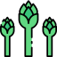 Asparagus icon 64x64