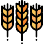 Wheat icône 64x64