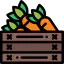 Carrots icône 64x64