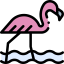 Flamingo icon 64x64