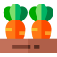 Carrot іконка 64x64