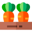 Carrot icon 64x64