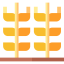 Barley icon 64x64