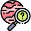 Research icon 64x64