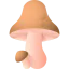 Mushroom icon 64x64
