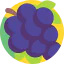 Grape ícone 64x64