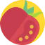 Tomato ícone 64x64