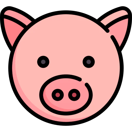 Pig 상