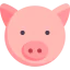 Pig icon 64x64
