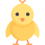 Chick icon 64x64