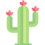 Cactus icon 64x64