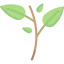 Branch icon 64x64