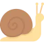 Snail icon 64x64