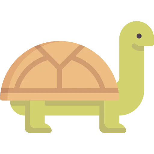 Turtle icon