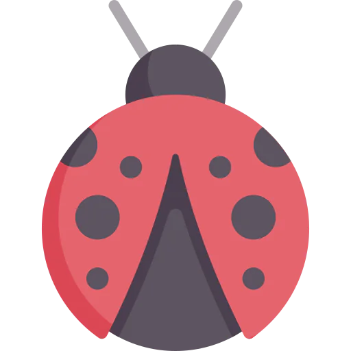 Ladybug icon