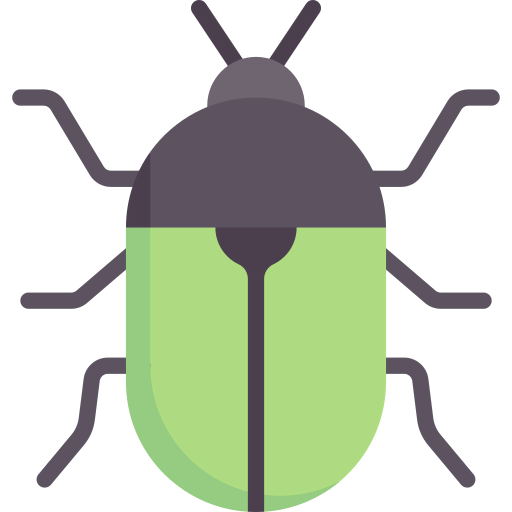 Beetle icon