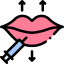 Lip augmentation ícone 64x64