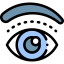 Blepharoplasty icon 64x64