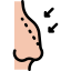 Rhinoplasty icon 64x64
