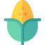 Corn 图标 64x64