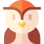 Owl 图标 64x64