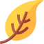 Dry leaf icon 64x64