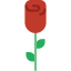 Rose Ikona 64x64