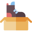 Shoe box icon 64x64