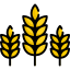 Wheat biểu tượng 64x64