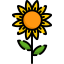 Sunflower biểu tượng 64x64