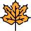 Maple leaf biểu tượng 64x64