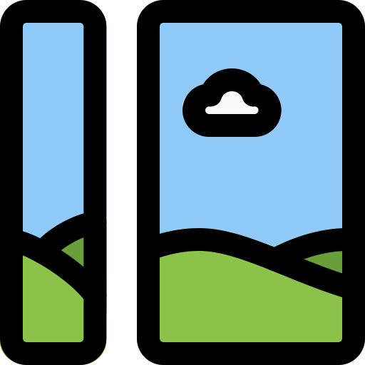 Mirror images icon