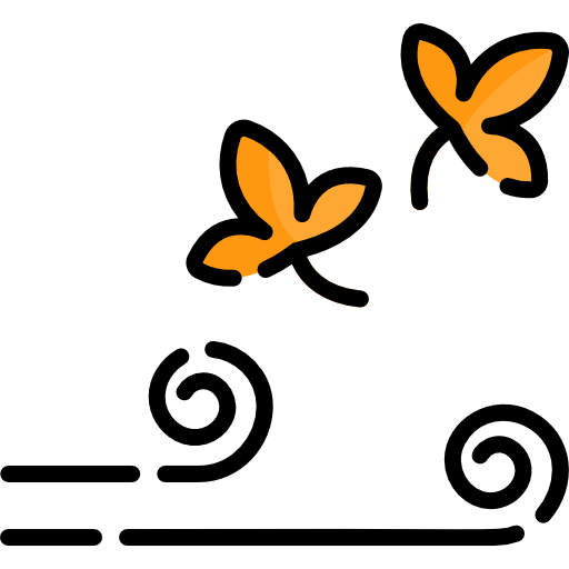 Wind icon