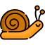 Snail biểu tượng 64x64
