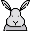 Rabbit biểu tượng 64x64