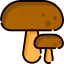 Mushroom biểu tượng 64x64
