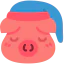 Pig ícone 64x64