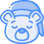 Bear icon 64x64