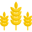 Wheat icon 64x64