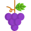 Grapes 图标 64x64